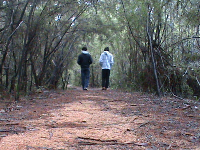 This image has an empty alt attribute; its file name is nil-003.jpg