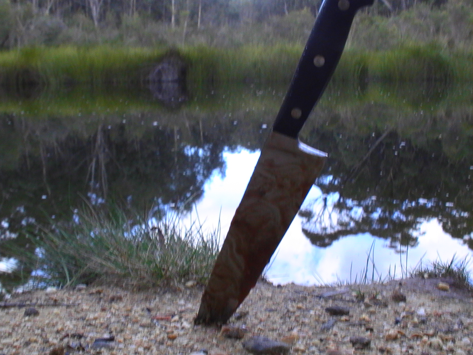 This image has an empty alt attribute; its file name is pic_3541.jpg